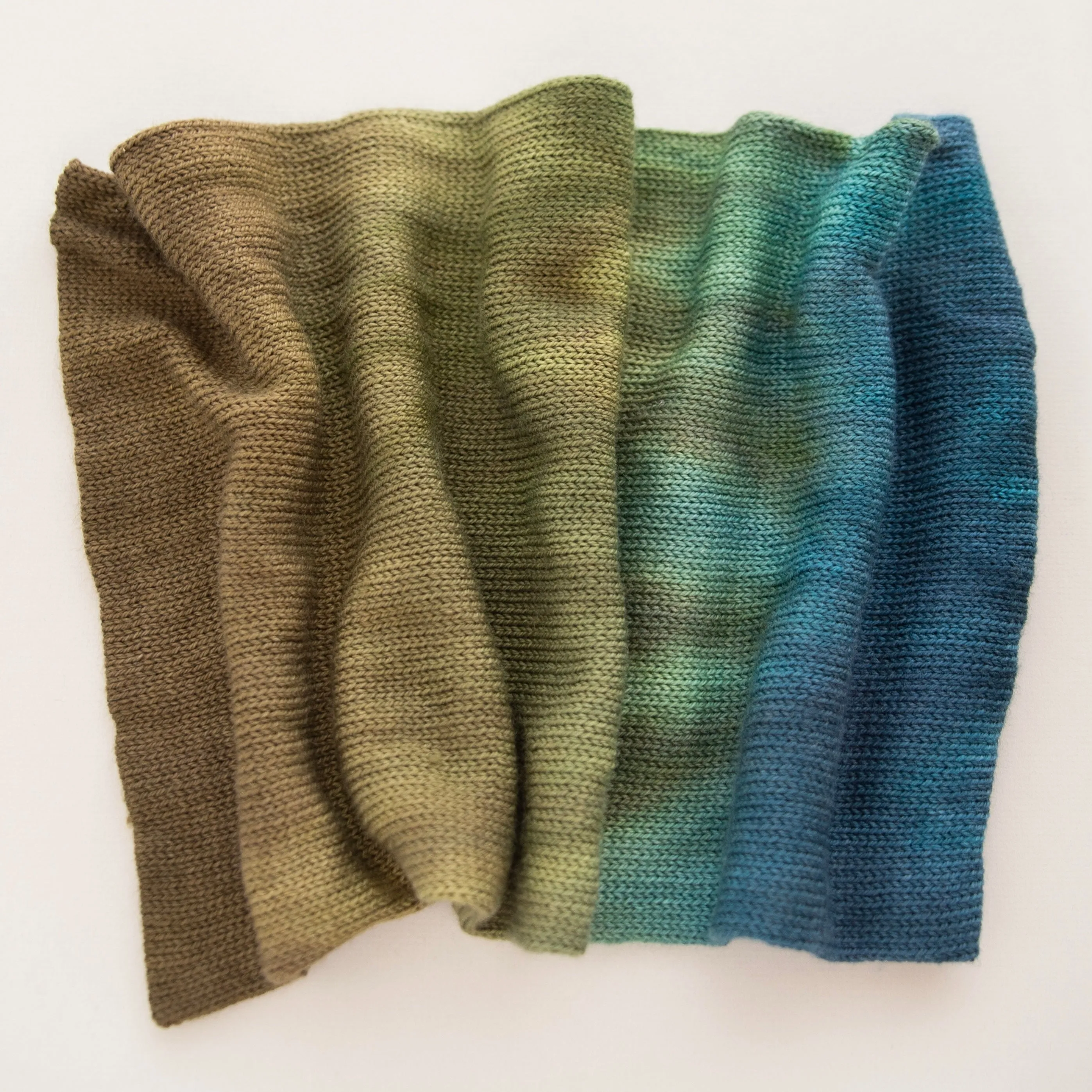 SweetGeorgia Double Sock Yarn Blank